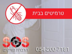 טרמיטים בבית