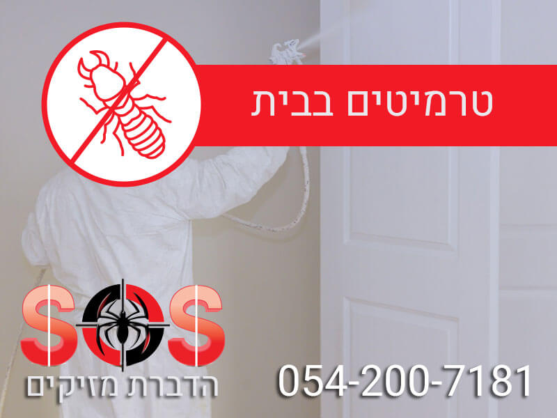 טרמיטים בבית