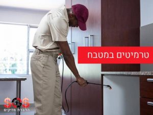 טרמיטים במטבח